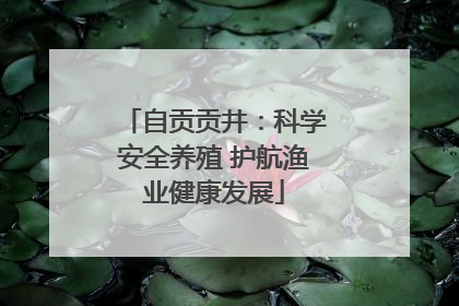 自贡贡井：科学安全养殖 护航渔业健康发展