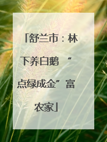 舒兰市：林下养白鹅 “点绿成金”富农家