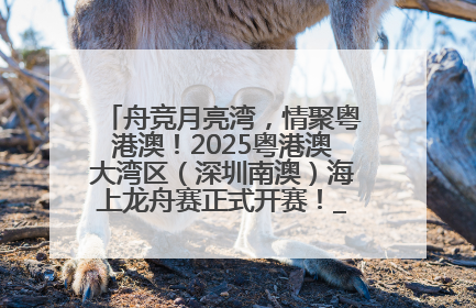 舟竞月亮湾，情聚粤港澳！2025粤港澳大湾区（深圳南澳）海上龙舟赛正式开赛！_深圳新闻网