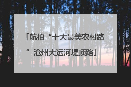 航拍“十大最美农村路”沧州大运河堤顶路
