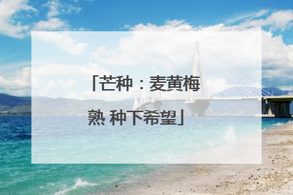 芒种：麦黄梅熟 种下希望