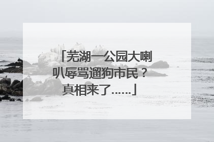 芜湖一公园大喇叭辱骂遛狗市民？真相来了……