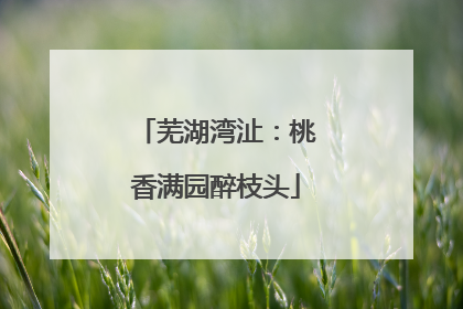 芜湖湾沚：桃香满园醉枝头