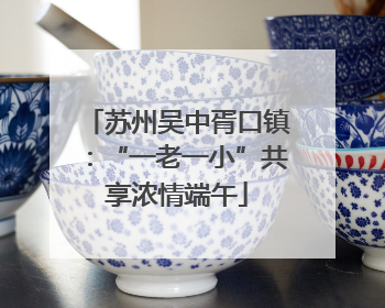 苏州吴中胥口镇：“一老一小”共享浓情端午