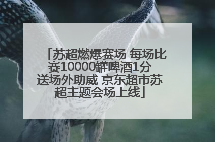 苏超燃爆赛场 每场比赛10000罐啤酒1分送场外助威 京东超市苏超主题会场上线