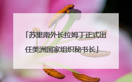 苏里南外长拉姆丁正式出任美洲国家组织秘书长