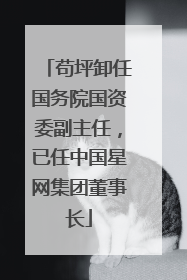苟坪卸任国务院国资委副主任，已任中国星网集团董事长