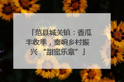 范县城关镇：香瓜丰收季，奏响乡村振兴 “甜蜜乐章”