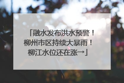 融水发布洪水预警！柳州市区持续大暴雨！柳江水位还在涨→
