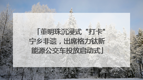 董明珠沉浸式“打卡”宁乡非遗，出席格力钛新能源公交车投放启动式