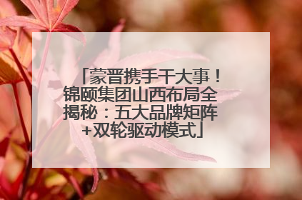 蒙晋携手干大事！锦颐集团山西布局全揭秘：五大品牌矩阵+双轮驱动模式