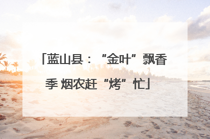 蓝山县：“金叶”飘香季 烟农赶“烤”忙
