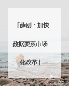 薛刚：加快数据要素市场化改革