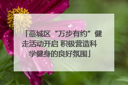 藁城区“万步有约”健走活动开启 积极营造科学健身的良好氛围