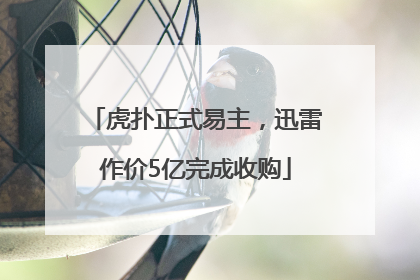 虎扑正式易主，迅雷作价5亿完成收购