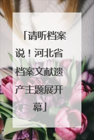 请听档案说！河北省档案文献遗产主题展开幕