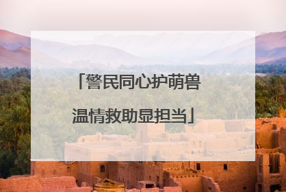 警民同心护萌兽 温情救助显担当