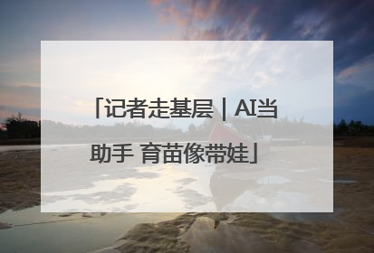 记者走基层｜AI当助手 育苗像带娃