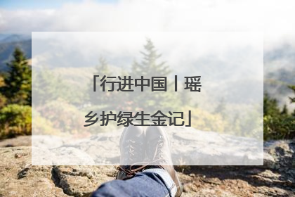 行进中国丨瑶乡护绿生金记