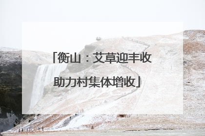 衡山：艾草迎丰收 助力村集体增收