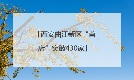 西安曲江新区“首店”突破430家