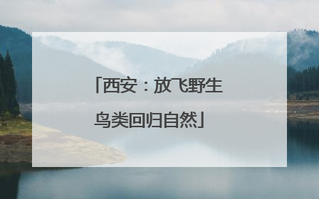 西安：放飞野生鸟类回归自然