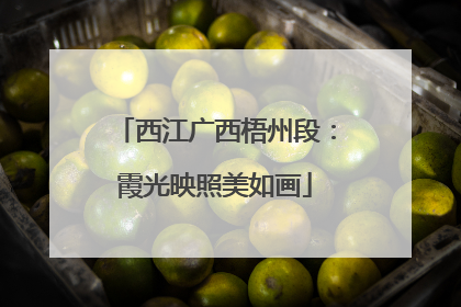 西江广西梧州段：霞光映照美如画