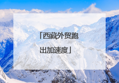 西藏外贸跑出加速度