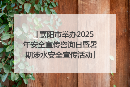 襄阳市举办2025年安全宣传咨询日暨暑期涉水安全宣传活动