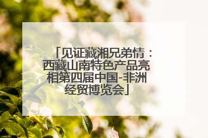见证藏湘兄弟情：西藏山南特色产品亮相第四届中国-非洲经贸博览会