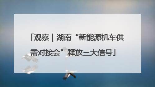 观察｜湖南“新能源机车供需对接会”释放三大信号