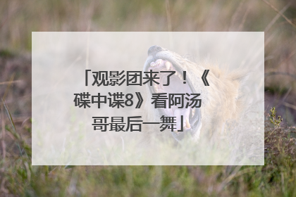 观影团来了！《碟中谍8》看阿汤哥最后一舞