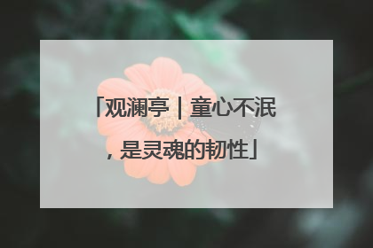观澜亭｜童心不泯，是灵魂的韧性