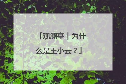 观澜亭｜为什么是王小云？