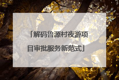 解码鲁源村夜游项目审批服务新范式