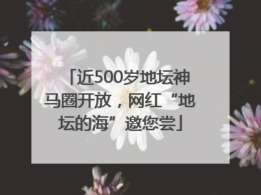 近500岁地坛神马圈开放，网红“地坛的海”邀您尝