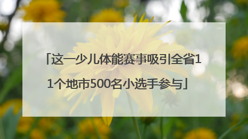 这一少儿体能赛事吸引全省11个地市500名小选手参与