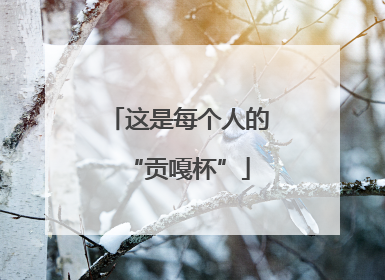 这是每个人的“贡嘎杯”