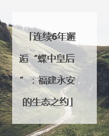 连续6年邂逅“蝶中皇后”：福建永安的生态之约
