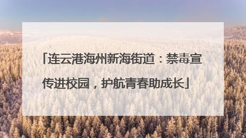 连云港海州新海街道：禁毒宣传进校园，护航青春助成长