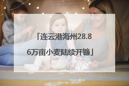 连云港海州28.86万亩小麦陆续开镰