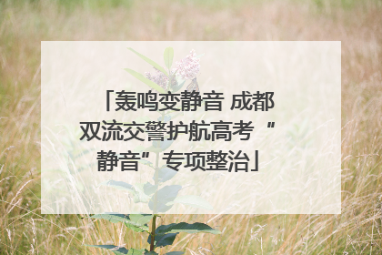 轰鸣变静音 成都双流交警护航高考“静音”专项整治