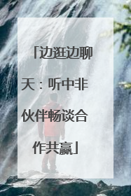 边逛边聊天：听中非伙伴畅谈合作共赢