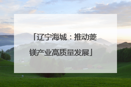 辽宁海城：推动菱镁产业高质量发展