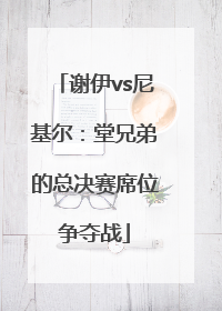 谢伊vs尼基尔：堂兄弟的总决赛席位争夺战