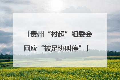 贵州“村超”组委会回应“被足协叫停”