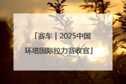 赛车｜2025中国环塔国际拉力赛收官