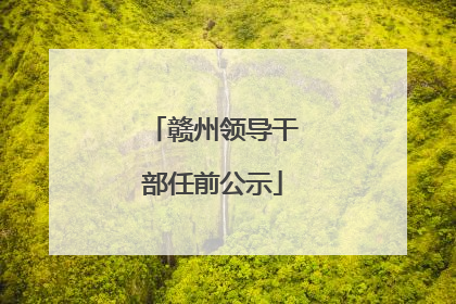 赣州领导干部任前公示
