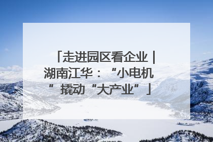 走进园区看企业｜湖南江华：“小电机”撬动“大产业”
