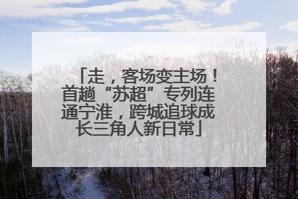 走，客场变主场！首趟“苏超”专列连通宁淮，跨城追球成长三角人新日常